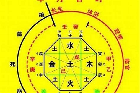 用神意思|八字的喜用神与忌神详解